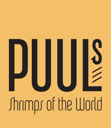 Puuls Shrimps