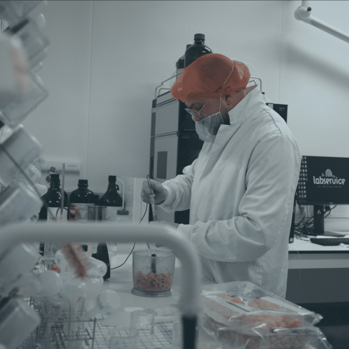 Agent des opérations de contrôle qualité Klaas Puul