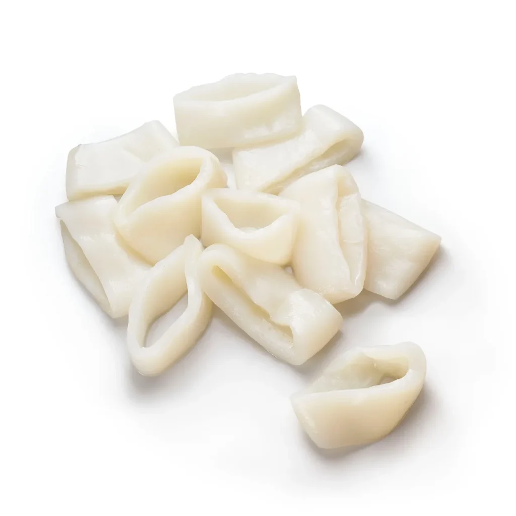 Tintenfisch / Kalmar