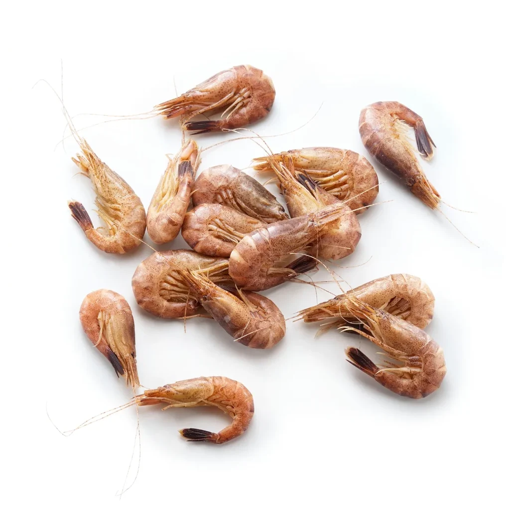 Nordsee / Holländische / Graue Garnelen