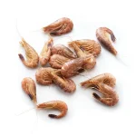 Nordsee / Holländische / Graue Garnelen