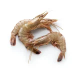 Tigergarnelen ‘Black Tiger’