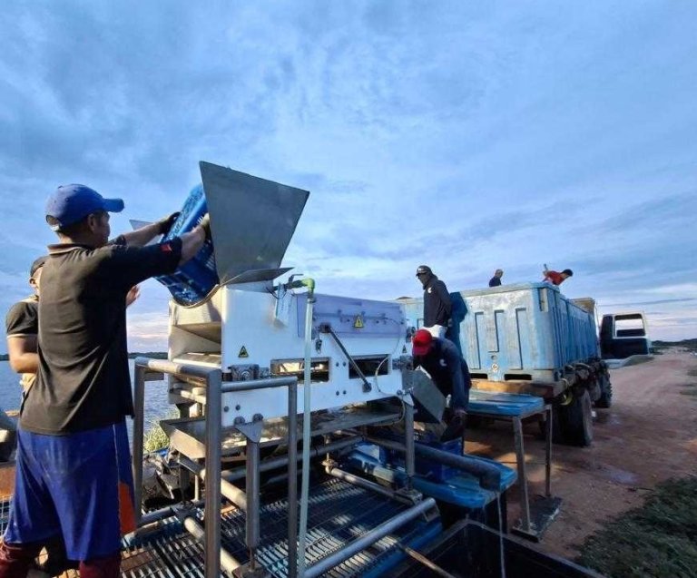 The Future of Shrimp Welfare: From Commitment to Verification